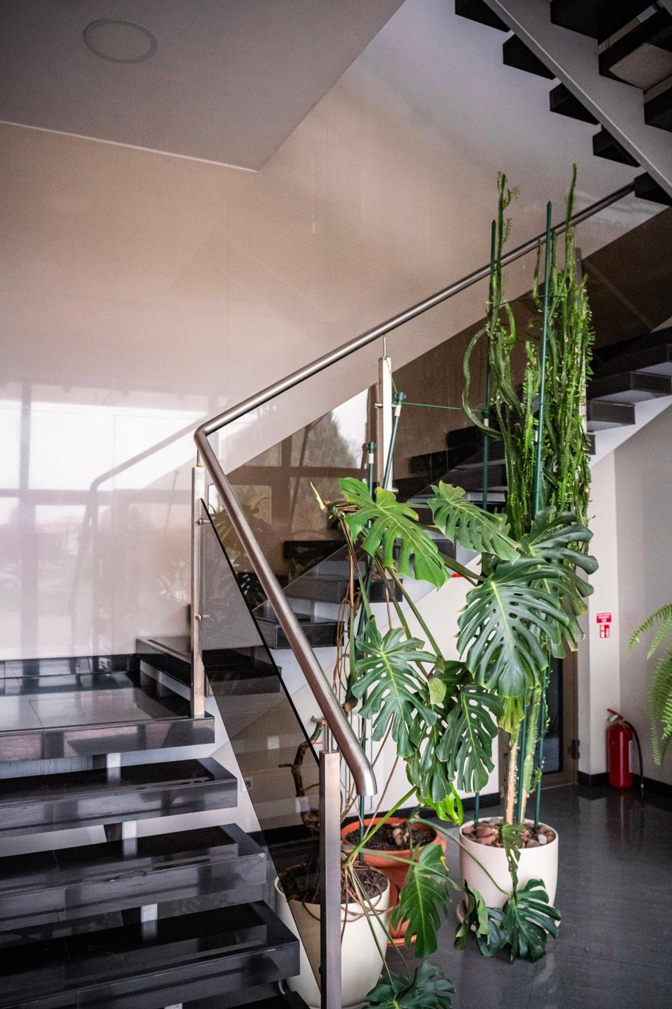 Hotel Pas Katina Panevėžys 외부 사진